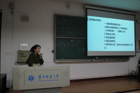 娱乐城排行